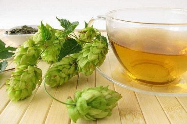 Décoction de cônes de houblon pour l'augmentation mammaire